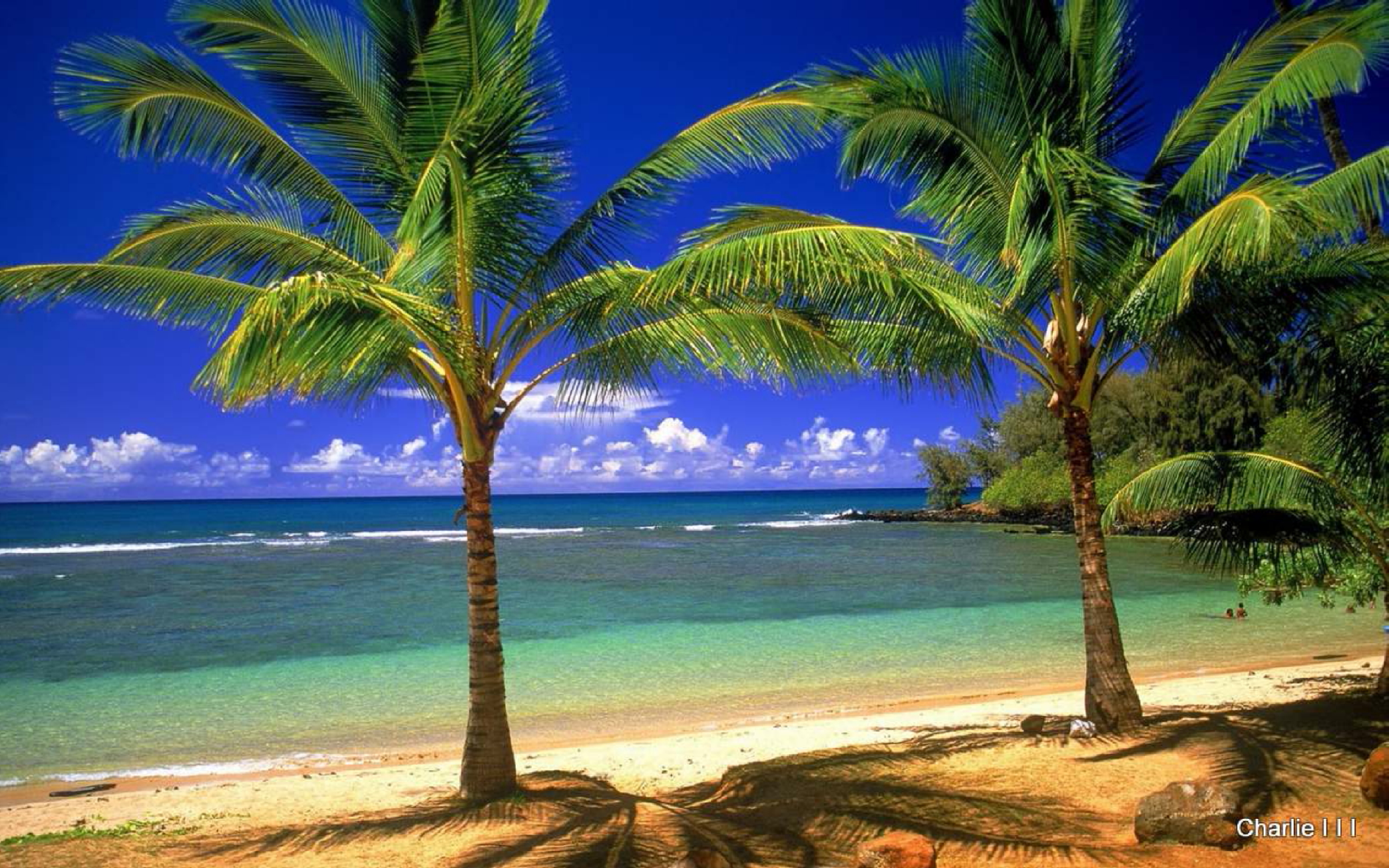 Beach Scene